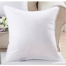 Throw Pillow Insert (Set of 2)